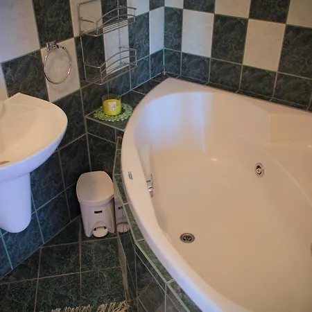 Guest house Nikol 3*