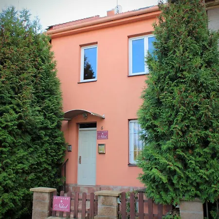 Nikol Brno