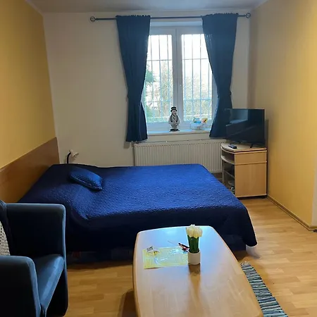 Nikol Brno
